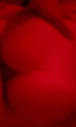 Hailey Sigmond $100 Video With Ex